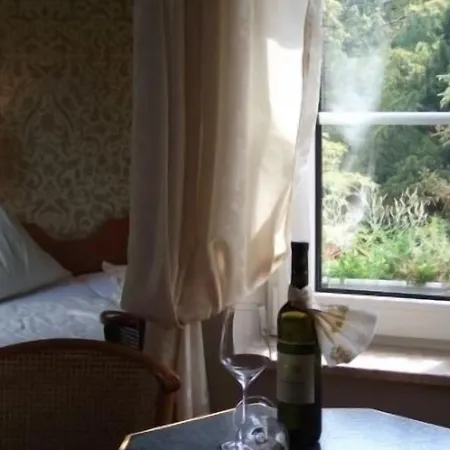 Pension&café Am Krähenberg Halle (Saale)